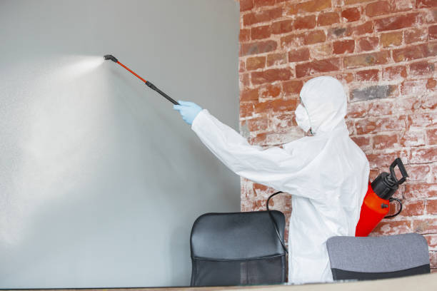 Reliable Fort Campbell North, KY Mold Removal Solutions